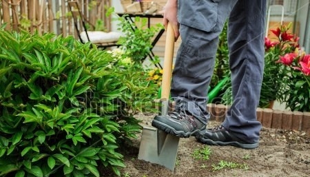 stock-photo-a-young-man-working-in-the-garden-278024135-e1499592604423.jpg
